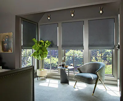 Beverly Hills Living Room - Roman Shades